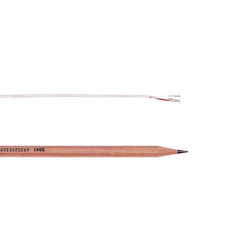 Vysokoteplotně odolný PVC Ptfe Vícejádrový antikorozní termočlánek prodlužovací drát